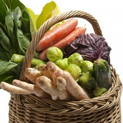 veggetable-basket