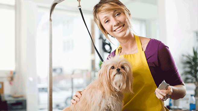img-topic-pet-care-business-tips