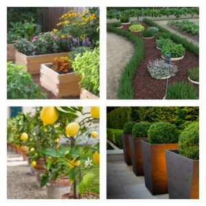 Container Gardening