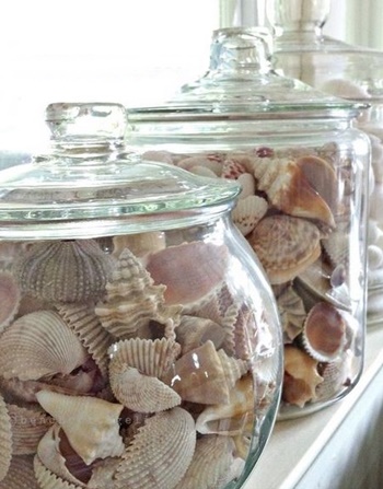 seashell craft ideas