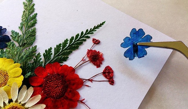 craft projects with pressed flowers and leaves